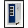 Walter Bibikow / Danita Delimont - Greece, Aegean Islands, Samos, Door, Cat (R825914-AEAEAGOFDM)