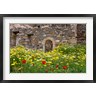 Scott T. Smith / Danita Delimont - Old building and wildflowers, Island of Spinalonga, Crete, Greece (R826099-AEAEAGOFDM)