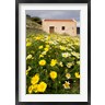 Scott T. Smith / Danita Delimont - Wildflowers and church of St, Island of Spinalonga, Crete, Greece (R826107-AEAEAGOFDM)