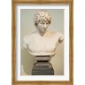 Prisma Archivo / Danita Delimont - Antinous Bust, Statue, Athens, Greece (R826116-AEAEAG8FE4)