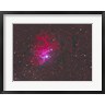 Reinhold Wittich/Stocktrek Images - IC 405, The Flaming Star Nebula in the Constellation Auriga (R830929-AEAEAGOFDM)