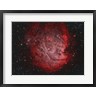Reinhold Wittich/Stocktrek Images - NGC 2174, the Monkey Head Nebula with IC 2159 Nebulosity (R831042-AEAEAGOFDM)