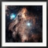Charles Shahar/Stocktrek Images - Pelican Nebula III (R831129-AEAEAGOFDM)