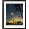 Philip Hart/Stocktrek Images - Solar Eclipse composite, Queensland, Australia I (R831167-AEAEAGOFDM)