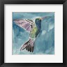 Grace Popp - Watercolor Hummingbird I (R833290-AEAEAGOELM)