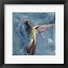 Grace Popp - Watercolor Hummingbird II (R833291-AEAEAGOELM)