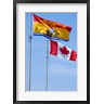 Cindy Miller Hopkins / Danita Delimont - Canada, New Brunswick Flag (R835570-AEAEAGOFDM)