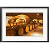 Per Karlsson / Danita Delimont - Oak Barrels in Cellar at Domaine Comte Senard (R835780-AEAEAGOFDM)