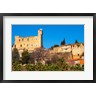 Per Karlsson / Danita Delimont - Ruins of the Pope's Summer Castle in Chateauneuf-du-Pape (R835785-AEAEAGOFDM)