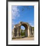 Lisa S. Engelbrecht / Danita Delimont - Triumphal Arch, St Remy de Provence, France (R835872-AEAEAGOFDM)