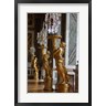 Lisa S. Engelbrecht / Danita Delimont - Hall of Mirrors and Gold Statues, Versailles, France (R835879-AEAEAGOFDM)