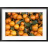 Marilyn Parver / Danita Delimont - Oranges, Nasch Market, Austria (R835920-AEAEAGOFDM)
