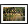 David Barnes / Danita Delimont - Dordogne River, France (R835926-AEAEAGOFDM)