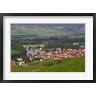 Per Karlsson / Danita Delimont - View of Vallee de la Marne River and Vineyards (R835965-AEAEAGOFDM)