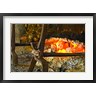 Per Karlsson / Danita Delimont - Fireplace with a Burning Log on a Truffle Farm (R835987-AEAEAGOFDM)
