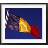 Paul Thompson / Danita Delimont - Belgian Flag (R836449-AEAEAGOFDM)