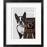 Fab Funky - Boston Terrier Photographer (R838873-AEAEAGOFDM)