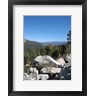 Naxart - Sierra Nevada Mountains 2 (R842359-AEAEAGOFDM)