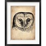 Irina March Naxart Studio - Vintage Owl (R844833-AEAEAGOFLM)