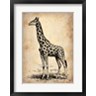 Irina March Naxart Studio - Vintage Giraffe (R844842-AEAEAGOFLM)