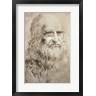 Leonardo Da Vinci - Self Portrait in Old Age 1512 (R848528-AEAEAGOFLM)