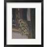 Edouard Vuillard - Hommage to Cezanne, 1900 (R851385-AEAEAGOFDM)