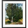 Vincent Van Gogh - The Cypresses (R857647-AEAEAGOFDM)