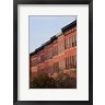 Panoramic Images - Row Houses in the City, Bolton Hill, Baltimore, Maryland (R857853-AEAEAGOFDM)