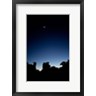 Panoramic Images - Quiver Tree Forest at Night, Namibia (R857909-AEAEAGOFDM)