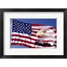 Panoramic Images - Bald Eagle on Flag (R858010-AEAEAGOFLM)