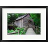 Panoramic Images - Cable Mill at Cades Cove, Tennessee (R858038-AEAEAGOFDM)