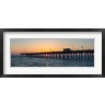 Panoramic Images - Venice Pier on the Gulf of Mexico, Venice, Florida (R858317-AEAEAGOFDM)