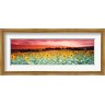 Panoramic Images - Sunflowers, Corbada, Spain (R858626-AEAEAG8FE4)