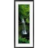 Panoramic Images - Yeats Waterfall, Ireland (R858765-AEAEAGOFDM)