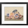 Dianne Miller - Shell Collection I (R859219-AEAEAGOFLM)