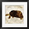 Pam Ilosky - Steam Punk Turtle I (R859312-AEAEAGOELM)