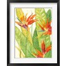 Timothy O'Toole - Watercolor Tropical Flowers III (R859738-AEAEAGOFLM)