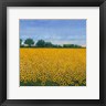 Timothy O'Toole - Field of Sunflowers I (R865107-AEAEAGOELM)