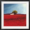 Philip Bloom - Field of Poppies (Detail) (R869099-AEAEAGOFDM)