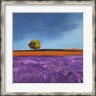 Philip Bloom - Field of Lavender (Detail) (R869101-AEAEAGKFGE)
