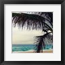 Lisa Hill Saghini - Palm and Beach (R870949-AEAEAGOEDM)