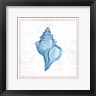 Emily Adams - Navy Conch Shell on Newsprint with Red (R873805-AEAEAGOEDM)