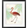 Sue Schlabach - Flamingo Tropicale II (R879530-AEAEAGOFDM)
