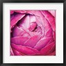 Laura Marshall - Ranunculus Abstract III Color (R881293-AEAEAGOFDM)