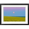 Alan Dyer/Stocktrek Images - Supermoon rising above a canola field in southern Alberta, Canada (R885060-AEAEAGOFDM)