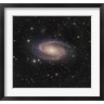 Bob Fera/Stocktrek Images - Messier 81 spiral galaxy in the Constellation Ursa Major (R885573-AEAEAGOFDM)
