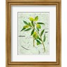 Melissa Wang - Olives on Textured Paper I (R889717-AEAEAG8FE4)