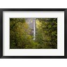 Jason Savage - Oregon Waterfall (R895958-AEAEAGOFLM)