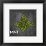 Color Me Happy - Mint on Chalkboard (R896536-AEAEAGOEDM)