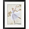 Teo Rizzardi - White Ballerina (R898810-AEAEAGOFDM)